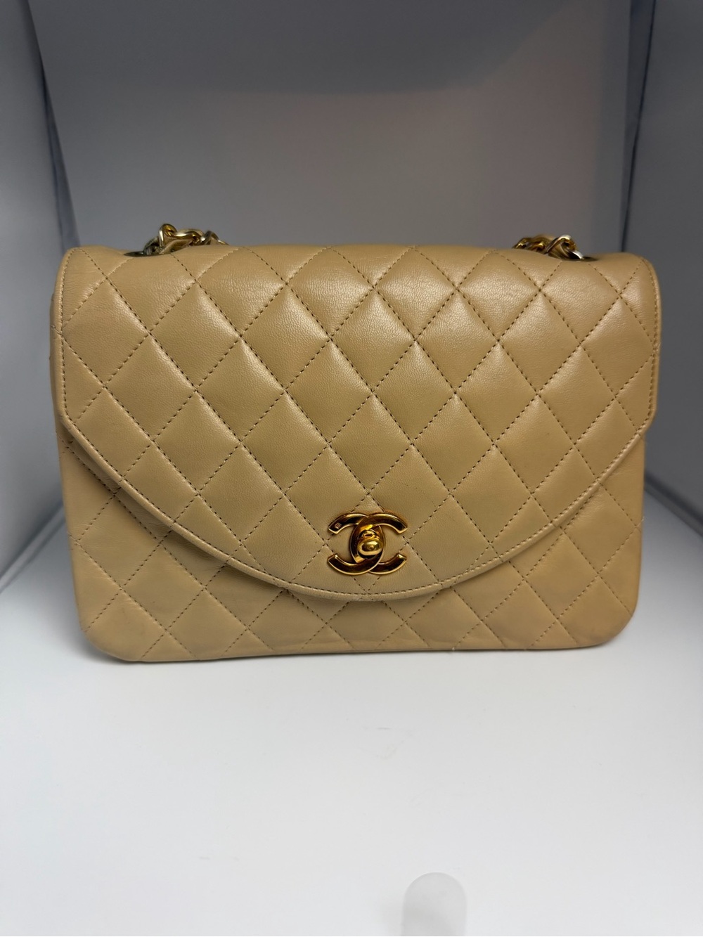 CHANEL Vintage Diana Bag Quilted Single Flap Shoulder Bag